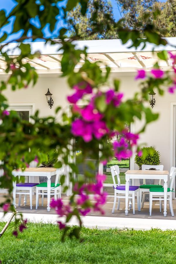 Kalina Hotel ダッチャ エクステリア 写真